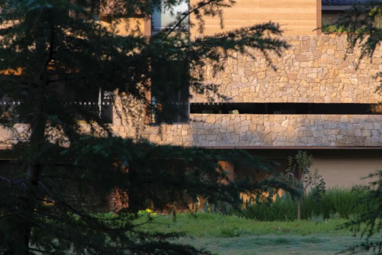 1764668772615494.png image.png